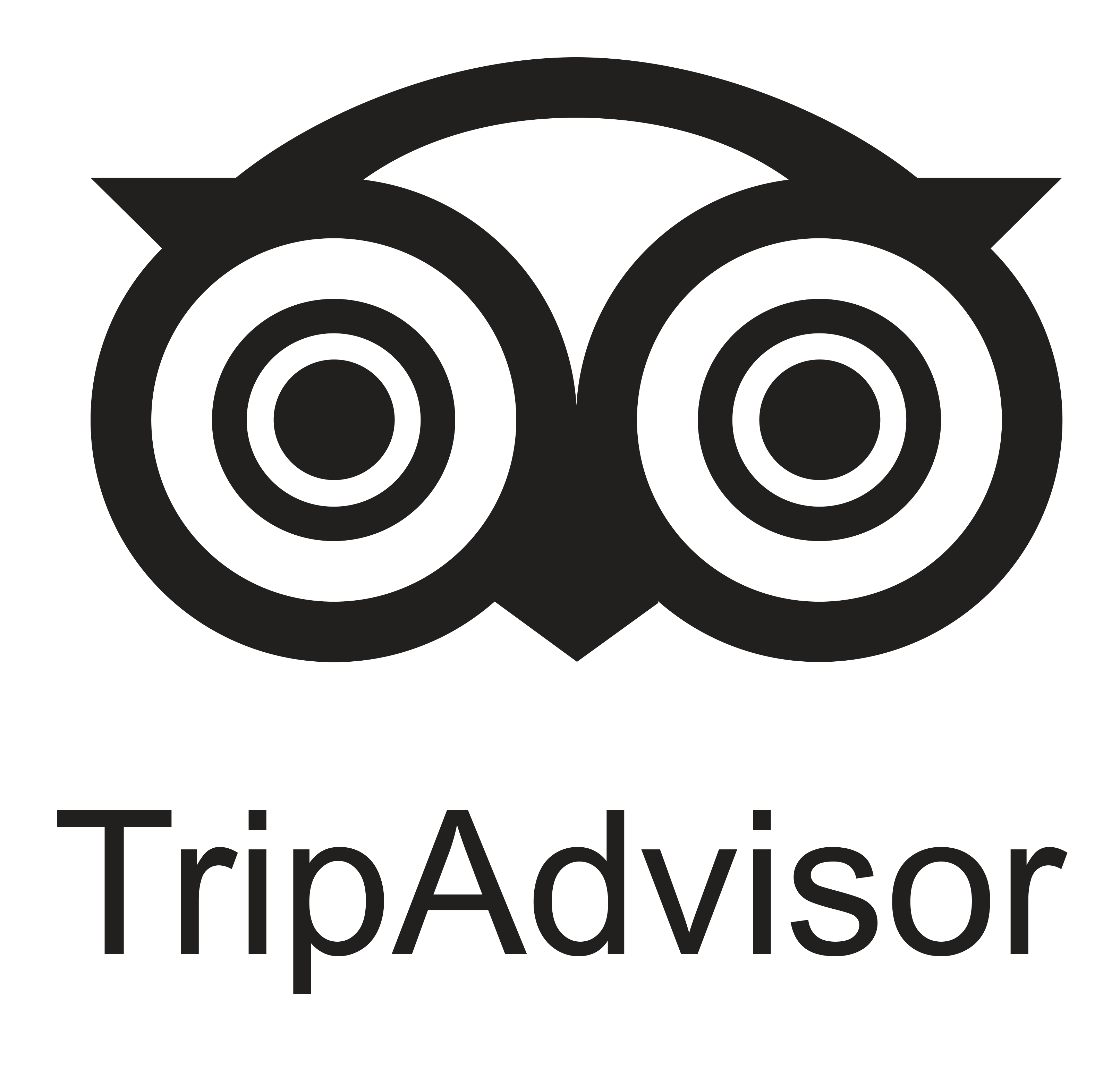 TripAdvisor Logo